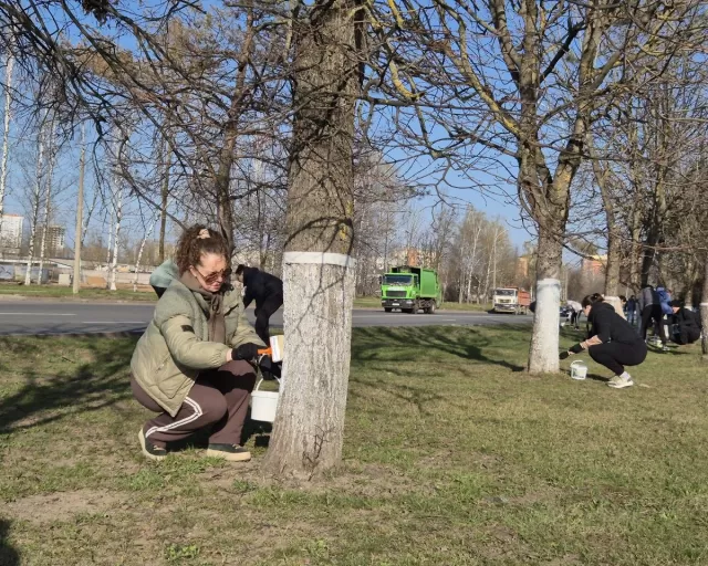 Время наведения чистоты и порядка