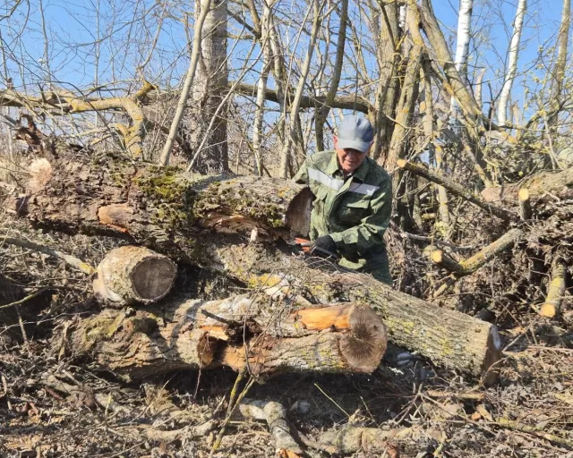 Работники ОАО "Моготекс" взялись за благоустройство