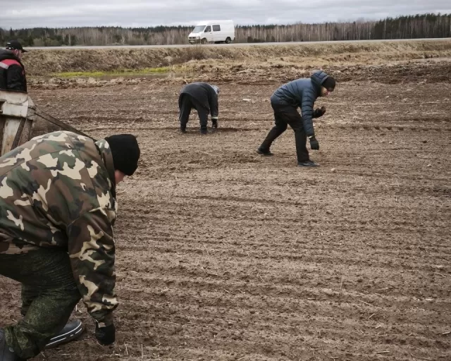 Помощь на полях: "Моготекс" поддерживает сельское хозяйство
