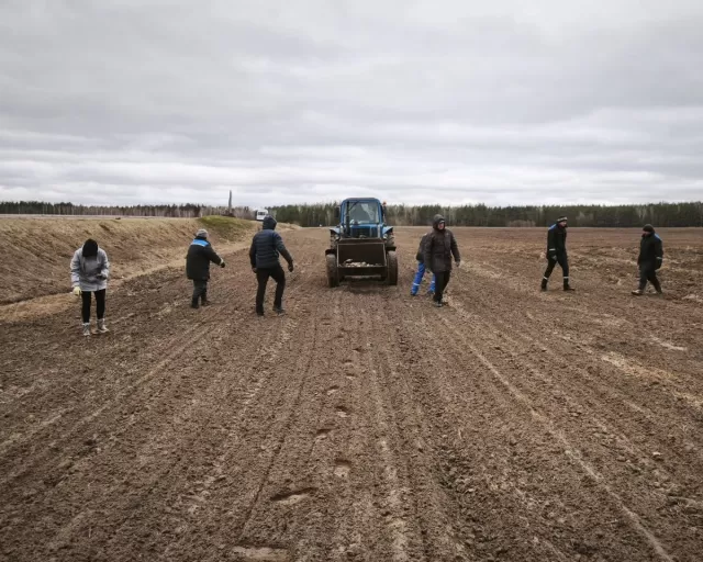 Помощь на полях: "Моготекс" поддерживает сельское хозяйство